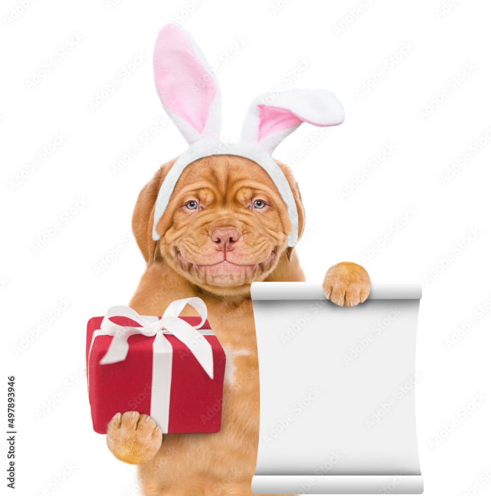 Poster Smiling puppy wearing easter rabbits ears holds gift box and shows empty list. Isolated on white background