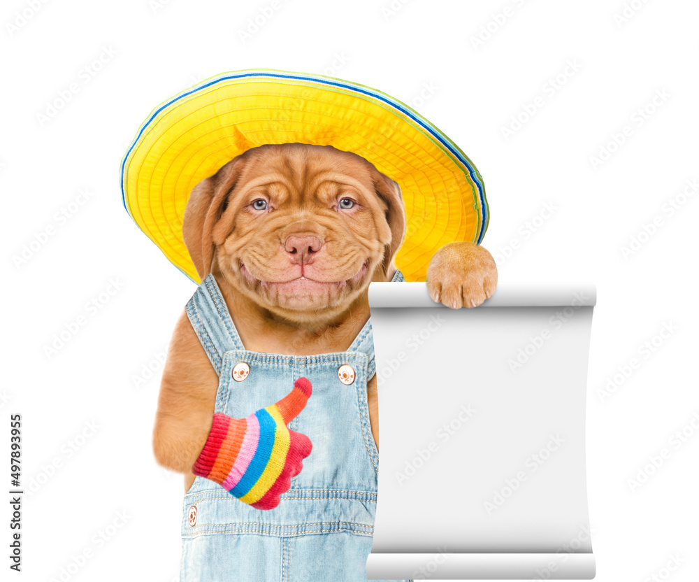 Poster Puppy wearing  hat and overalls shows empty list and thumbs up gesture. Isolated on white background