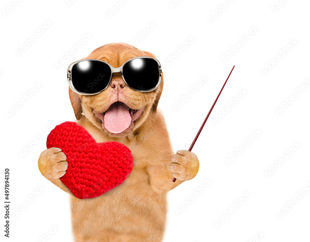 Poster happy mastiff puppy wearing sunglasses holds heart and points away on empty space. isolated on white