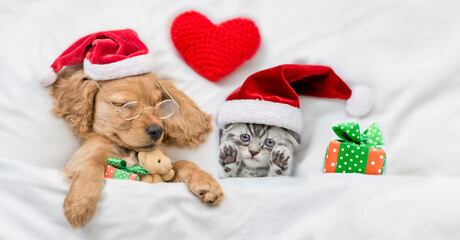 Funny English Cocker spaniel puppy wearing eyeglasses sleeps with tiny kitten and gift box under white warm blanket ona  bed at home. Cute pets wearing santa hat. Top down view