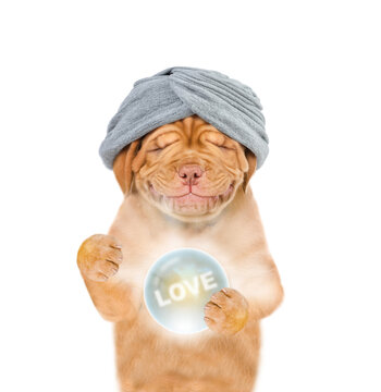 Smiling puppy fortune teller predicts the fate of love with magic ball. isolated on white background