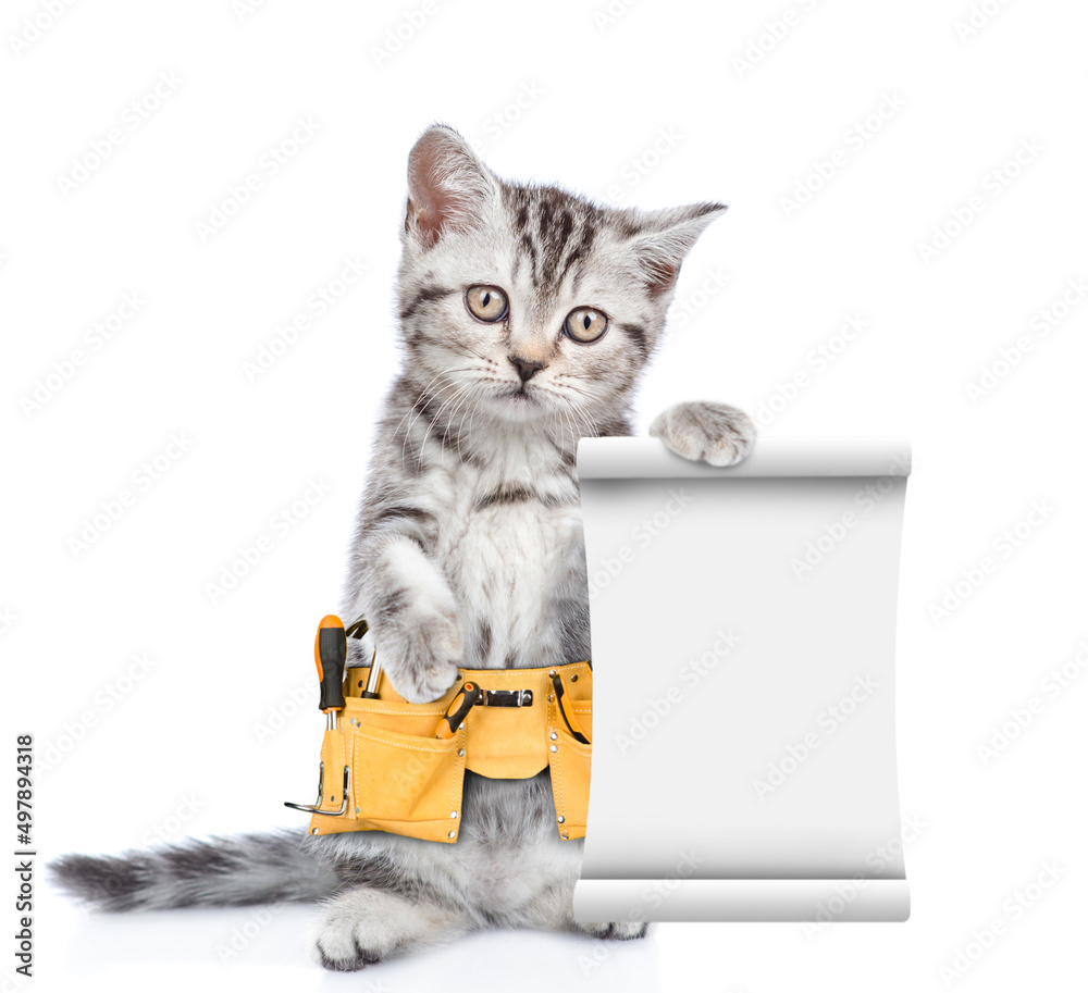 Poster Funny cat wearing toolbelt holds empty list.  Isolated on white background