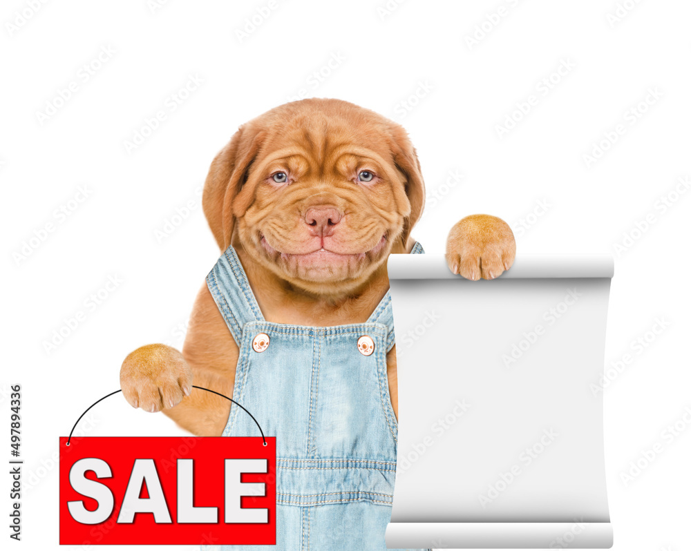 Aufkleber Smiling puppy farmer wearing overalls holds sales symbol and empty list. isolated on white background