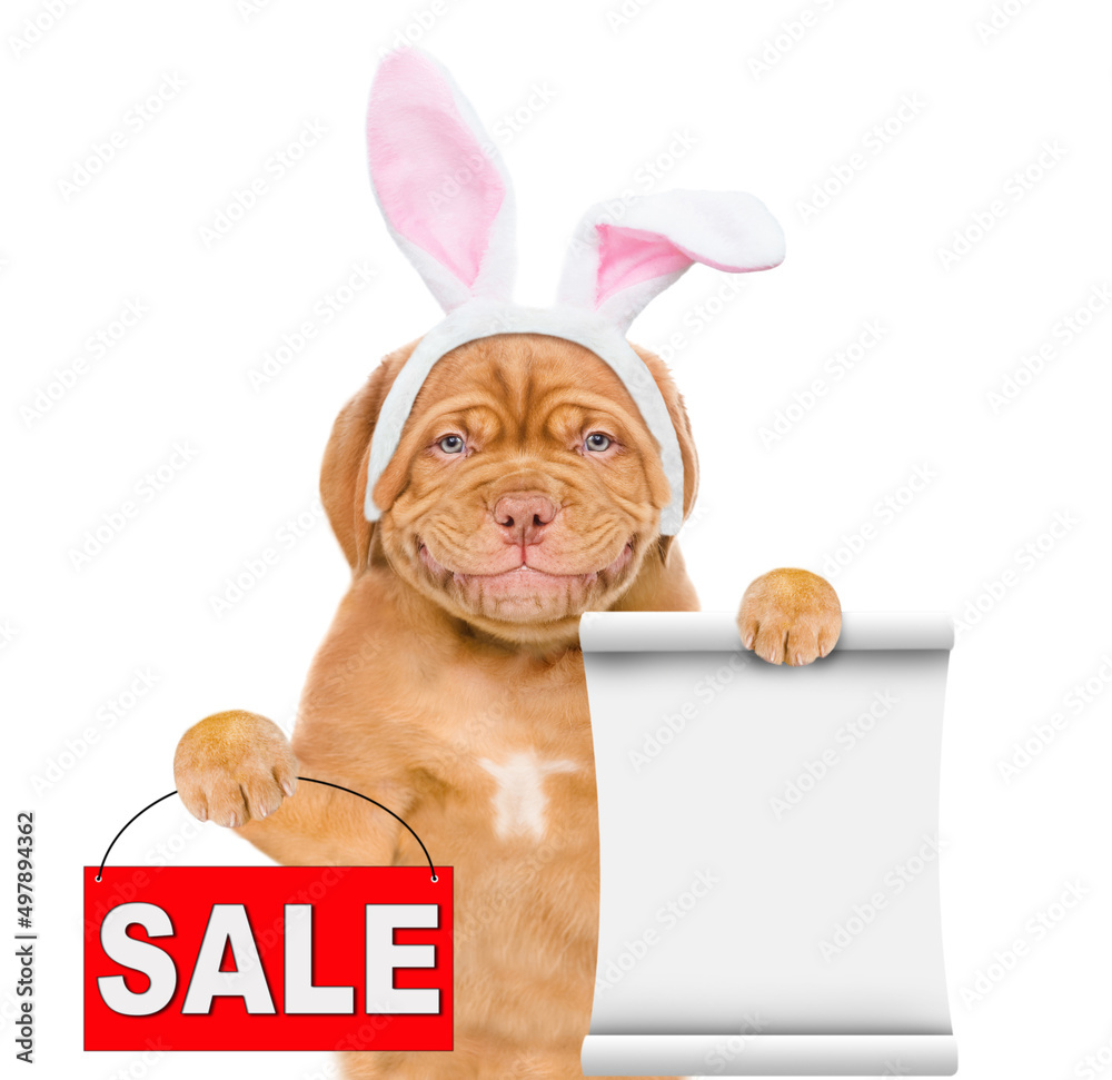 Poster Smiling puppy wearing easter rabbits ears holds empty list and sales symbol. Isolated on white background
