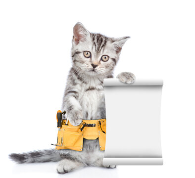 Funny Cat Wearing Toolbelt Holds Empty List.  Isolated On White Background