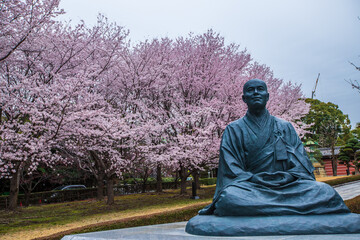 總持寺　春の風景