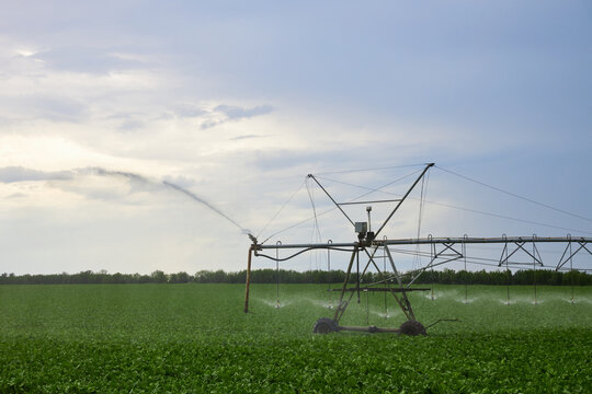 Equipment For Irrigation Of Plants Works A Green Field On A Hot Day