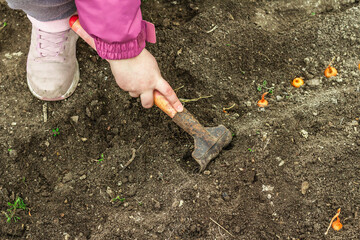 Gardening conceptual background. Children's hands planting little onions in to the soil. Spring season