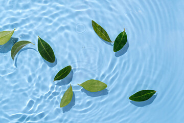Green leaves on water surface. Beautiful water ripple background for product presentation. Copy...