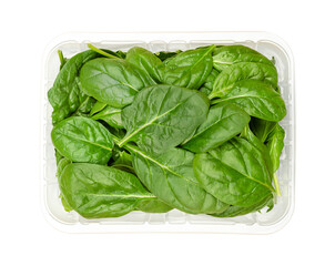 Young spinach leaves in a plastic container from above. Fresh picked and raw Spinacia oleracea, a...