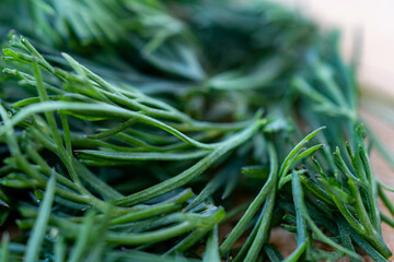 close up of rosemary

