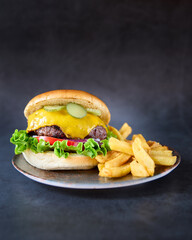 hamburger with french fries on chalkboard background
