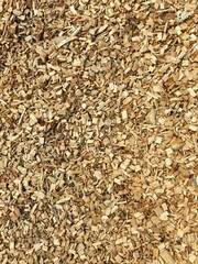 texture of wood chips