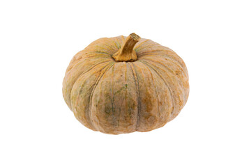 pumpkin isolated on white background