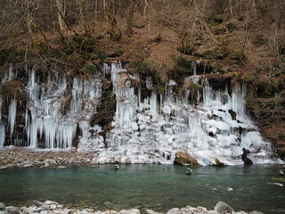 埼玉県秩父市の観光地：三十槌の氷柱