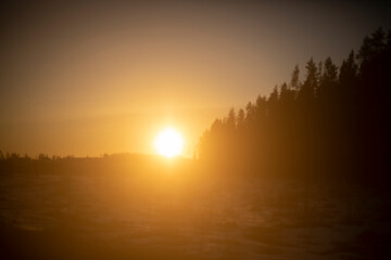 Sunset sun over forest. Landscape in evening.