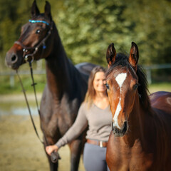 Foal brown with pallor looks intently at camera, mare with owner blurred in background..