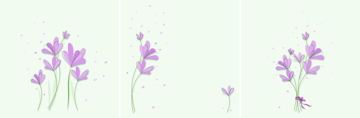 Floral composition with purple crocus flowers 