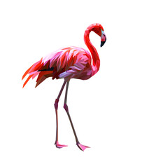 Pink flamingo of polygons isolated on white background. Flamingo bird with folded wings on two long legs ,vector illustration of pink flamingo, many pink shades