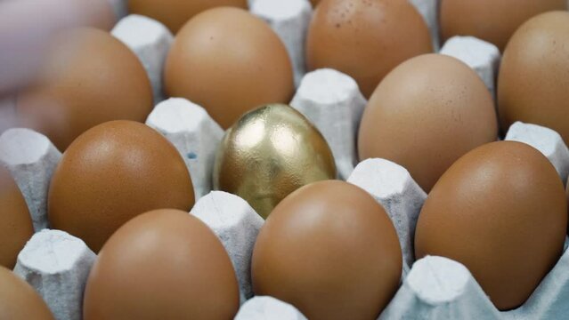 Hand changes the broken egg to the whole golden egg on platform - close up. Lots of fresh chicken raw eggs