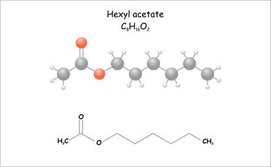 Stylized molecule model/structural formula of hexyl acetate. A component of apple and banana aroma.