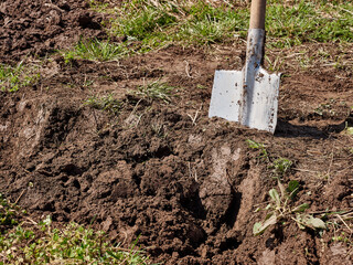 Manual tillage with a shovel. Spring tillage.