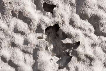 texture of a stone (focus on the cavity)