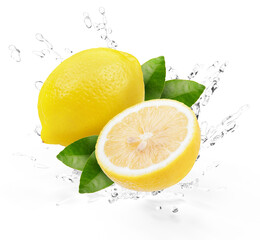 Fresh Lemon fruit falling in the air with splash water isolated on white background, Lemon citrus fruit on white background With clipping path.