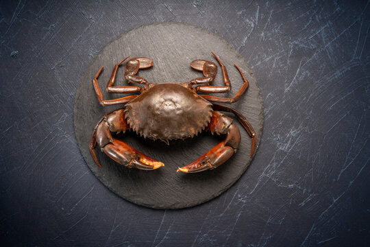 Raw black Crab on black plate, Fresh Raw mud crab on black plate on black background,
