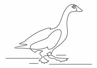 line drawing. Vector image of a goose. Minimalistic style. Logo illustration.