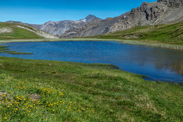Fototapeta na wymiar Lacs du Cogour en été , Massif du Queyras , Hautes-Alpes , France