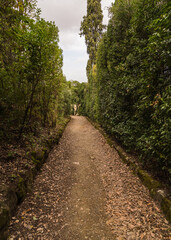 path in beautiful Italian garden 
