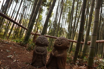 el bosque de bambu kyoto japan 