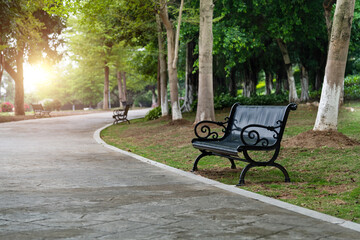 Benches on the roadside of the park
