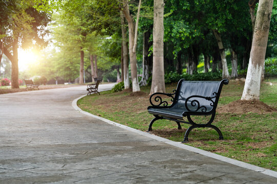 Benches on the roadside of the park