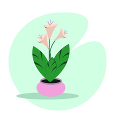 Home flower in a pot. Vector illustration