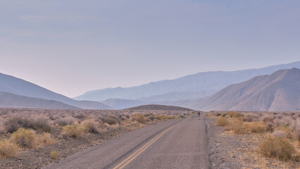 Donkey alone on Road. Mountains covered in the Haze