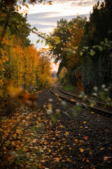 Trainrails in Autum/ Fall in Germany