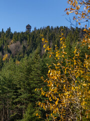  Autumn colors in mountain forests - Gorce Mountains