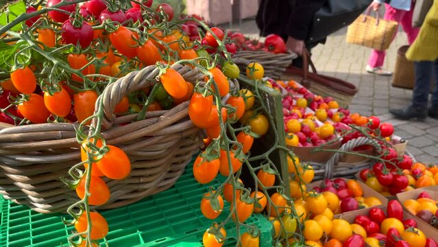 Bunter Gem&uuml;sestand auf dem Bauernmarkt, Tomaten, Penvenan, Bretagne, D&eacute;partement C&ocirc;tes-d&rsquo;Armor, Frankreich