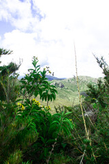 
itatiaia national park located in brazil