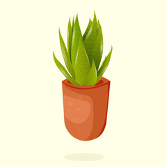 Aloe Vera plant vector illustration.