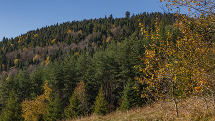 Fototapeta na wymiar Autumn colors in mountain forests - Gorce Mountains