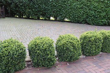 Gepflasterte Gartenterrasse. Hausterrasse. Sommerterrasse.