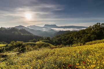 Beautiful landscape in the morning at Doi Luang Chiang Dao, Chiang Mai, Thailand