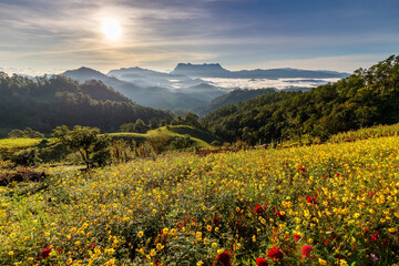 Fototapeta na wymiar Beautiful landscape in the morning at Doi Luang Chiang Dao, Chiang Mai, Thailand