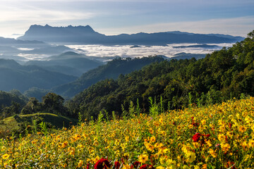 Beautiful landscape in the morning at Doi Luang Chiang Dao, Chiang Mai, Thailand