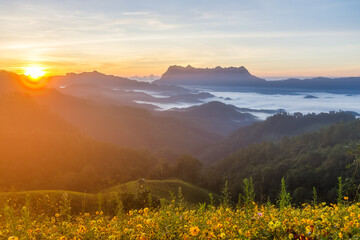 Beautiful landscape in the morning at Doi Luang Chiang Dao, Chiang Mai, Thailand