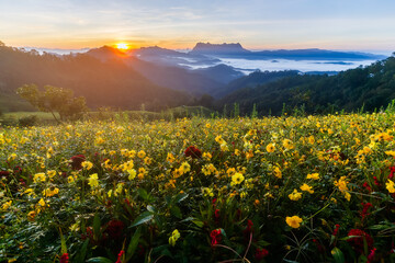 Beautiful landscape in the morning at Doi Luang Chiang Dao, Chiang Mai, Thailand