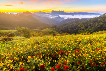 Fototapeta premium Beautiful landscape in the morning at Doi Luang Chiang Dao, Chiang Mai, Thailand